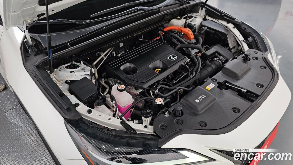 Lexus NX 2024