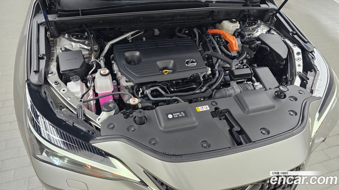 Lexus NX 2025