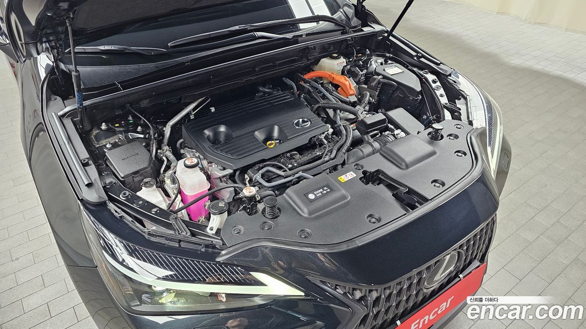 Lexus NX 2025