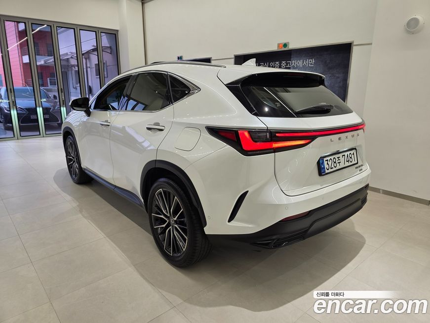 Lexus NX 2024