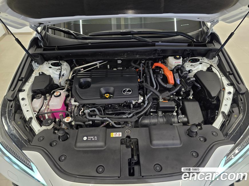 Lexus NX 2024
