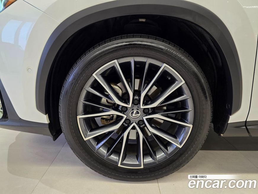 Lexus NX 2024