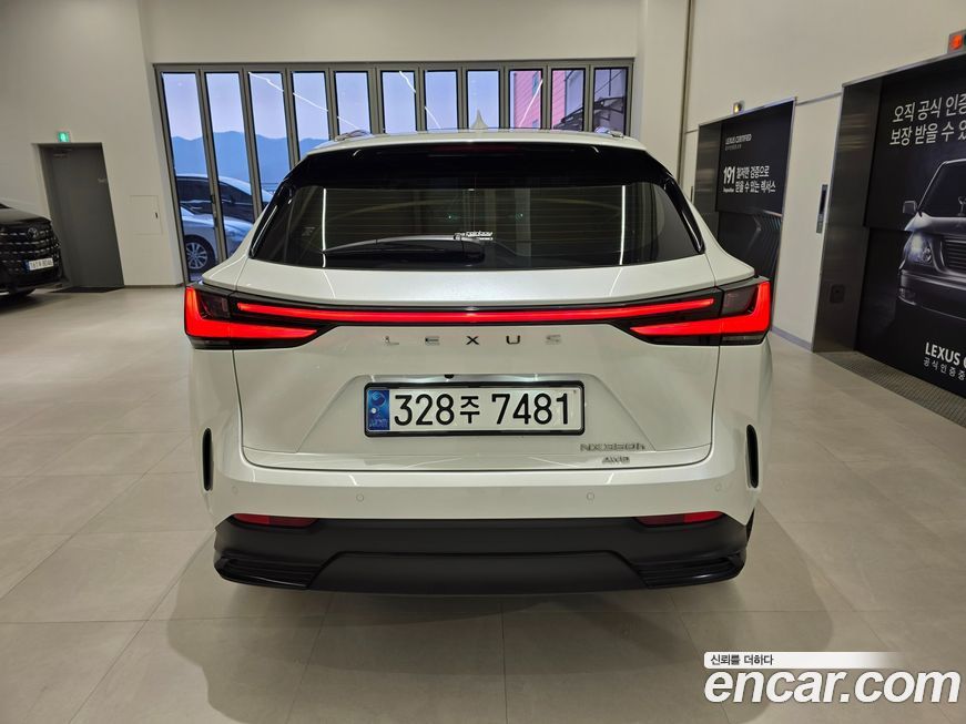 Lexus NX 2024