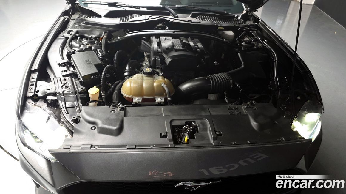 Ford Mustang 2019