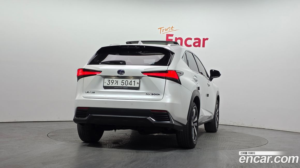 Lexus NX 2018