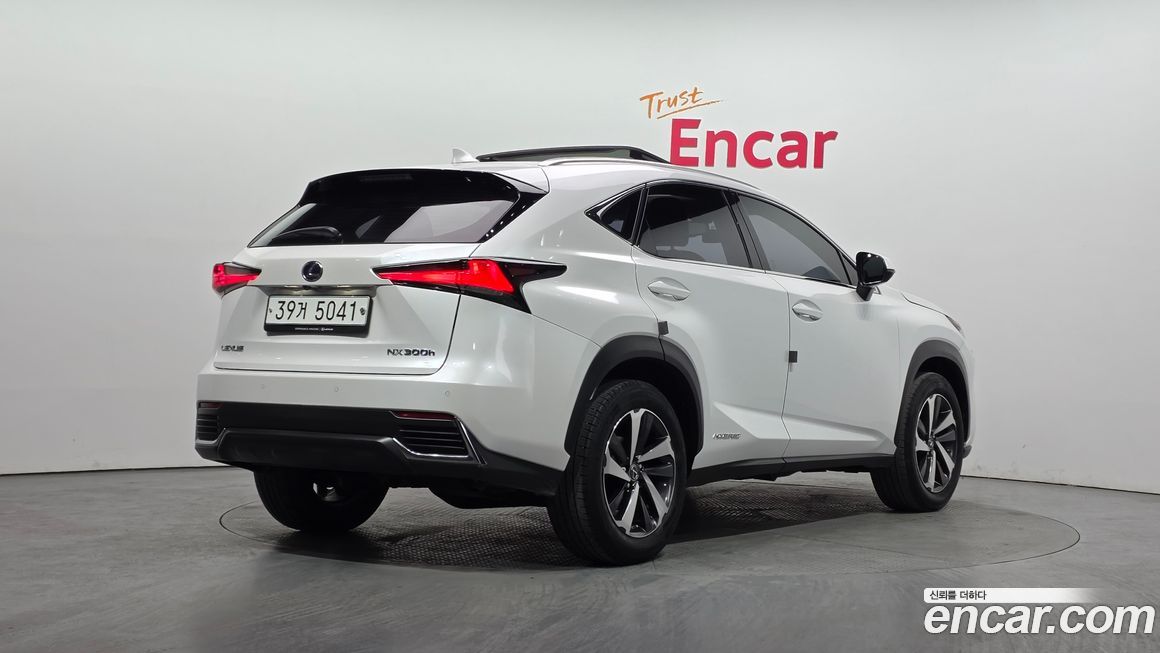 Lexus NX 2018