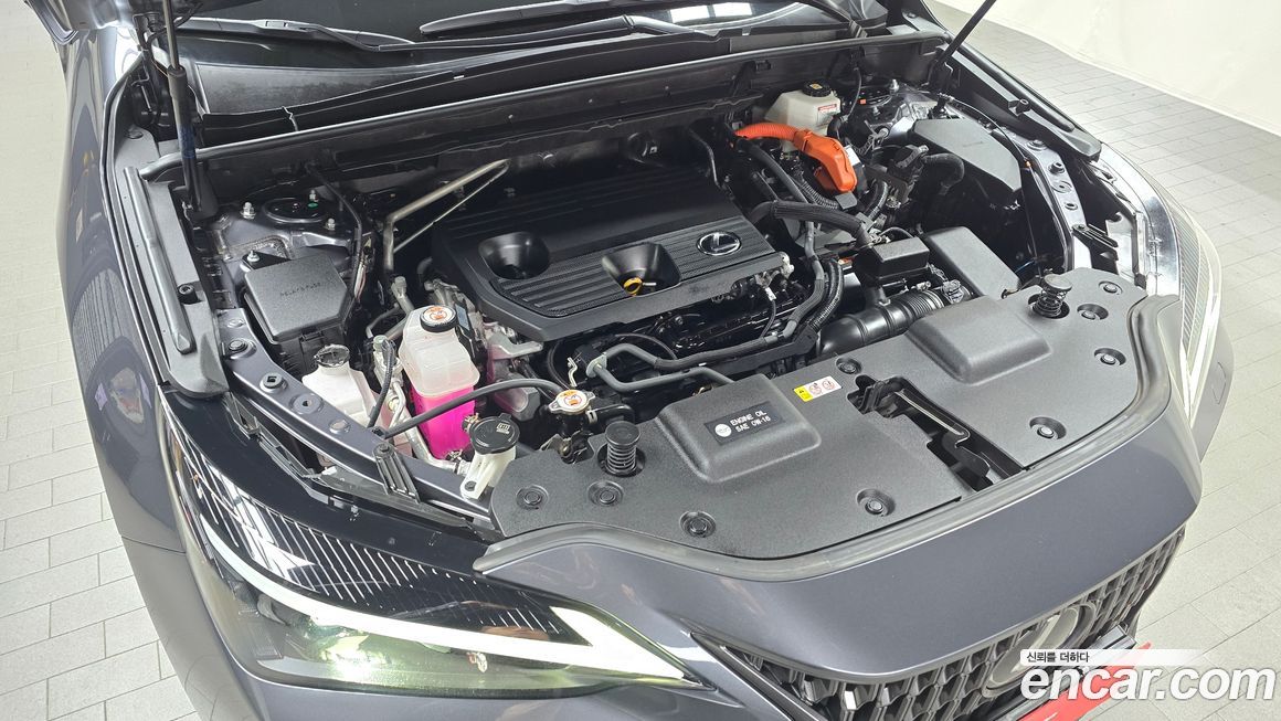 Lexus NX 2023