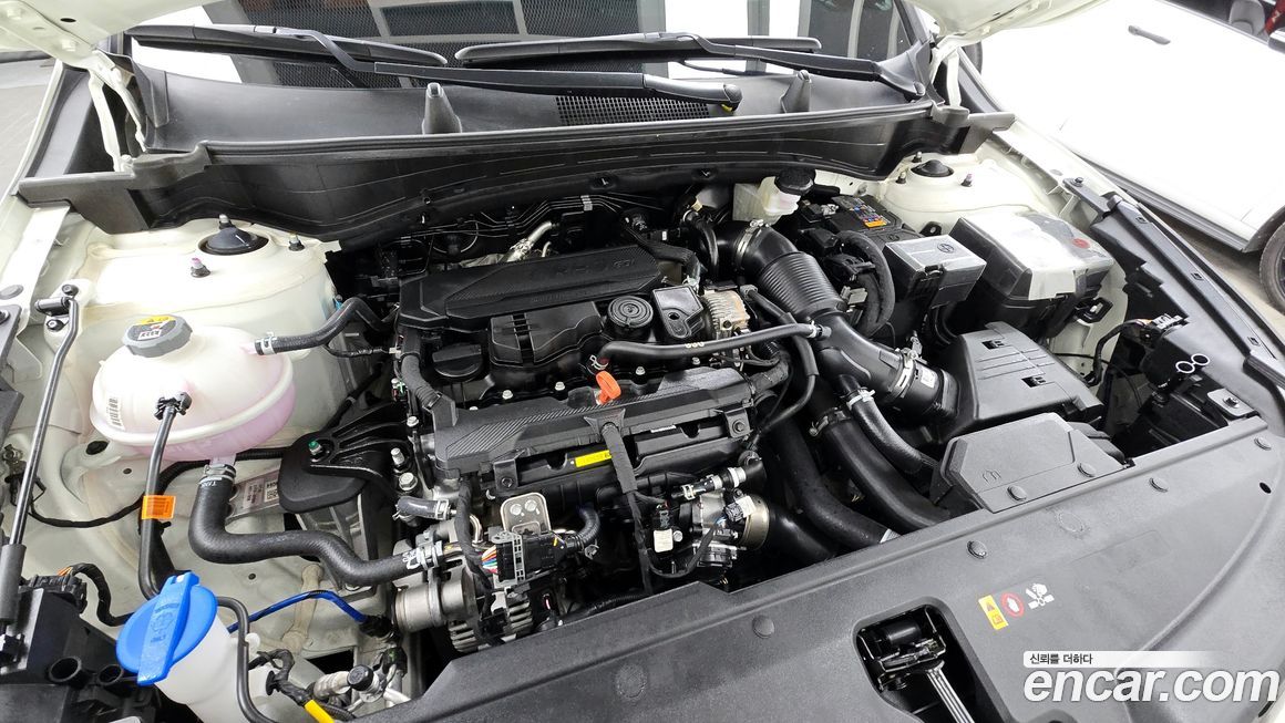 Kia Sportage 2025