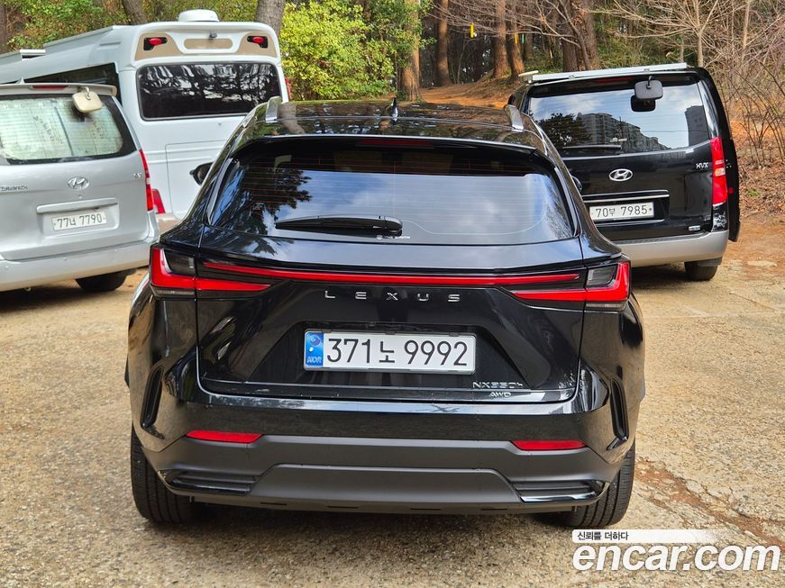 Lexus NX 2025