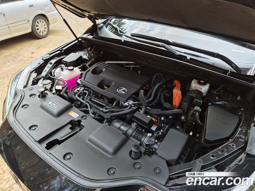 Lexus NX 2025