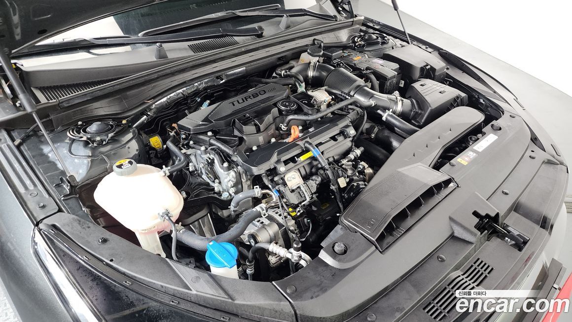 Kia K5 2024