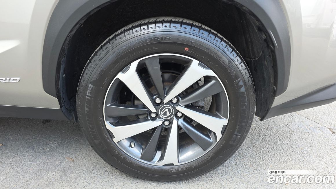 Lexus NX 2021