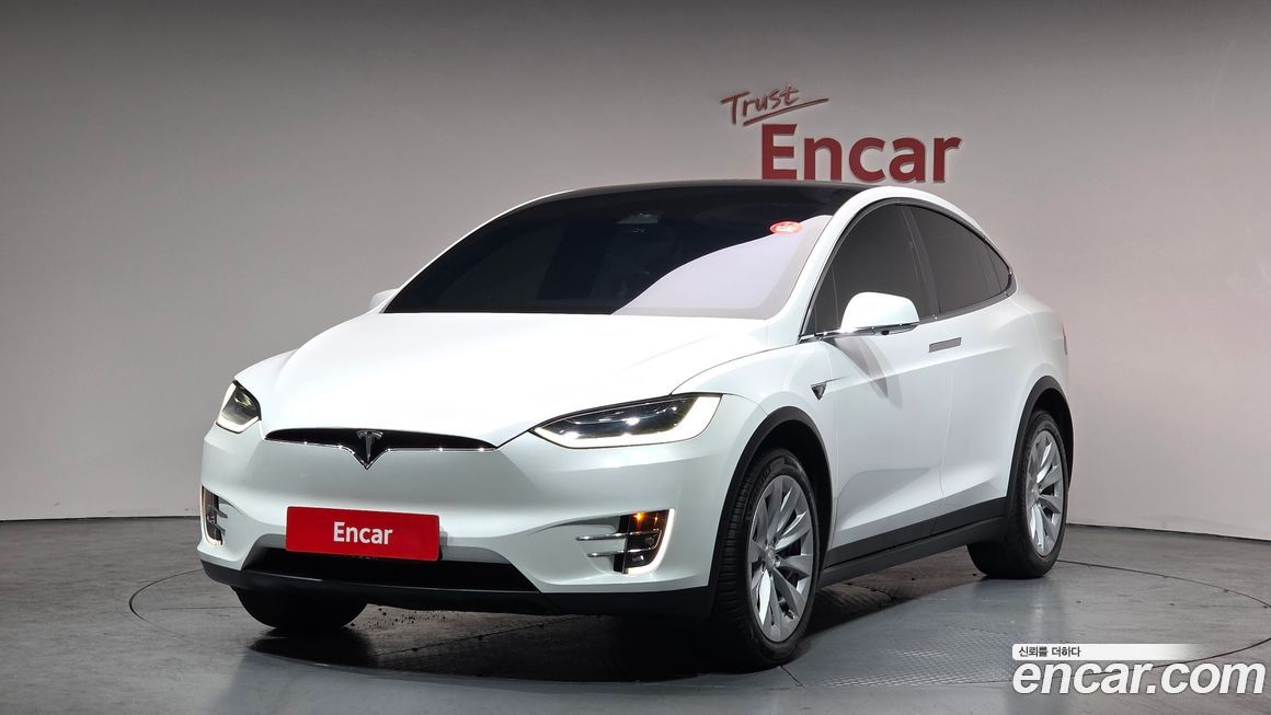 Tesla Model X 2019
