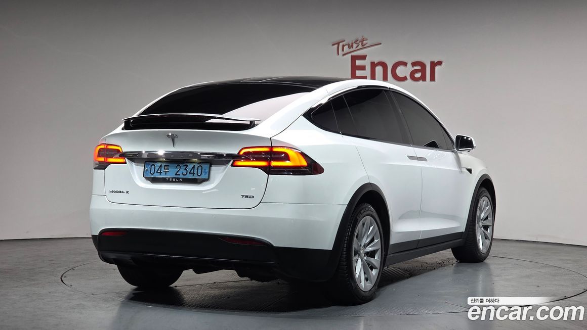Tesla Model X 2019