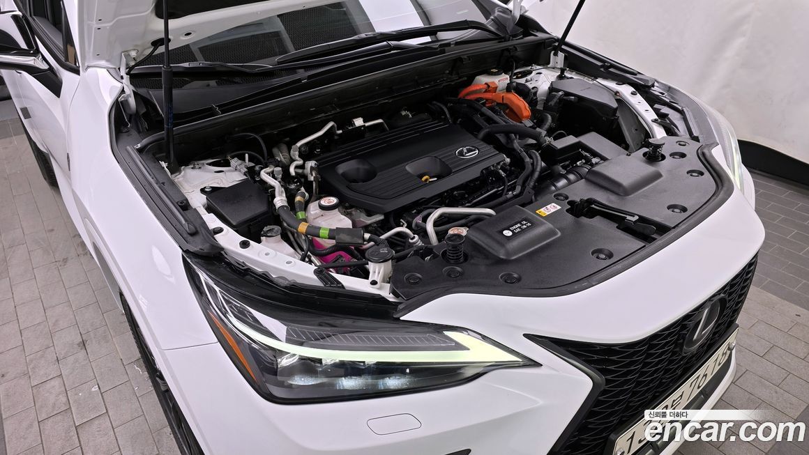 Lexus NX 2023