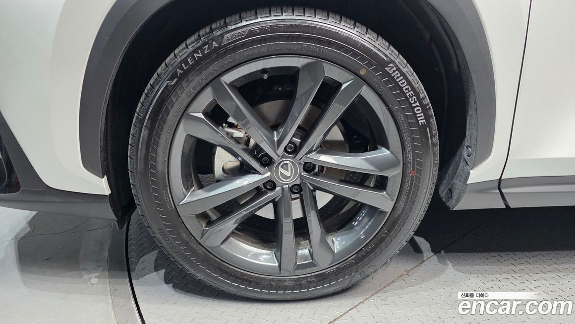 Lexus NX 2024
