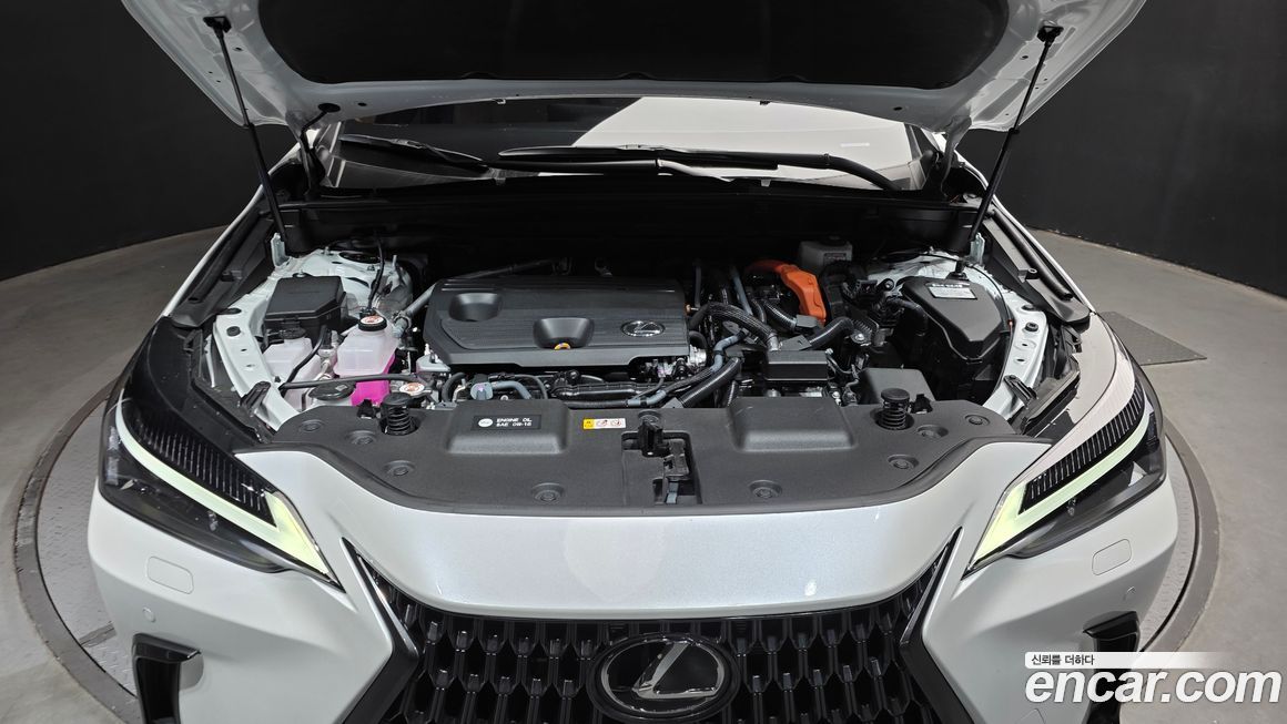 Lexus NX 2024