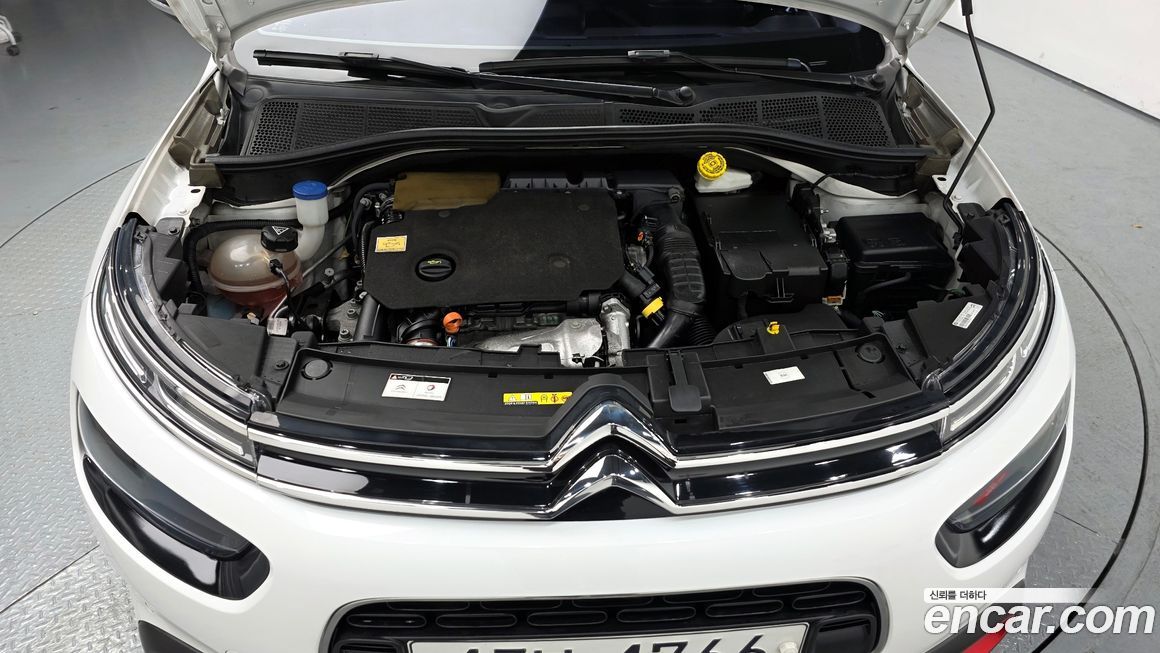 Citroen-DS C4 CACTUS 2019