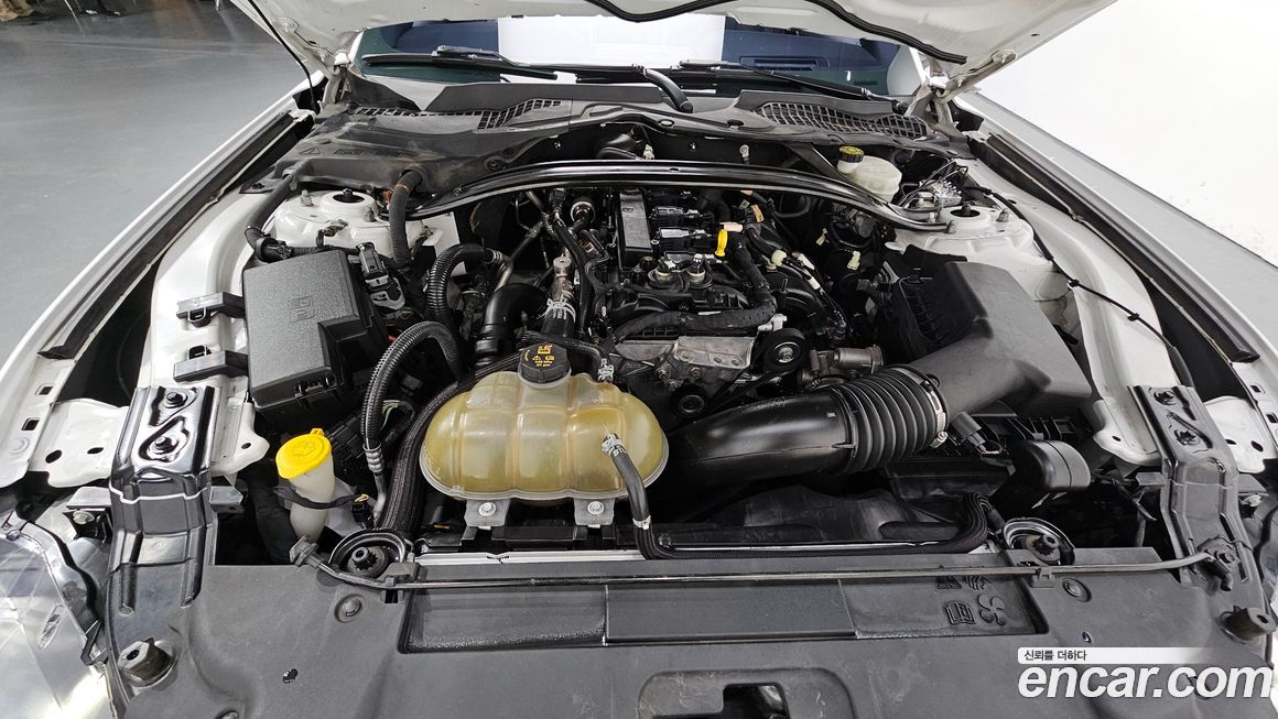 Ford Mustang 2019