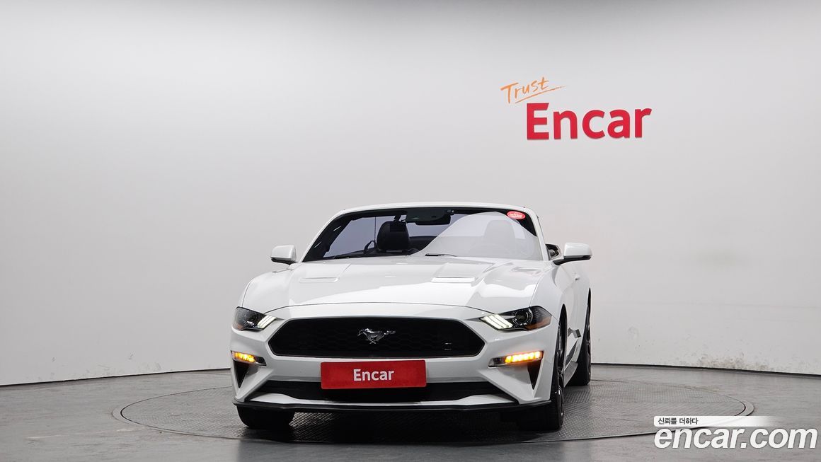 Ford Mustang 2019