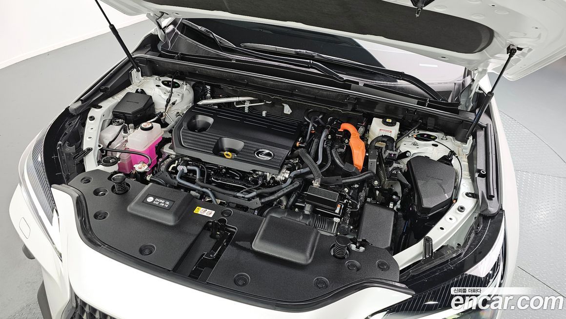 Lexus NX 2025