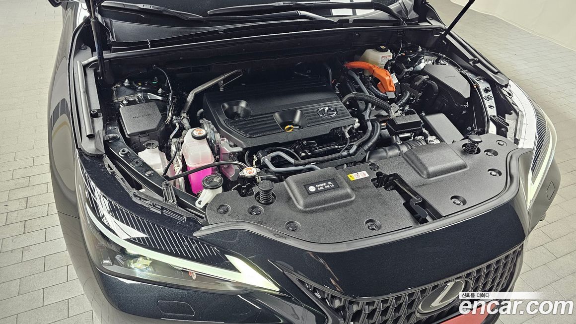 Lexus NX 2025