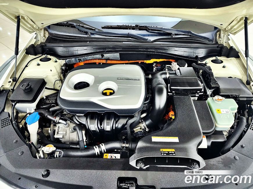 Kia K5 2016