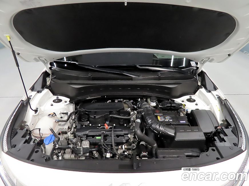 Kia Seltos 2023