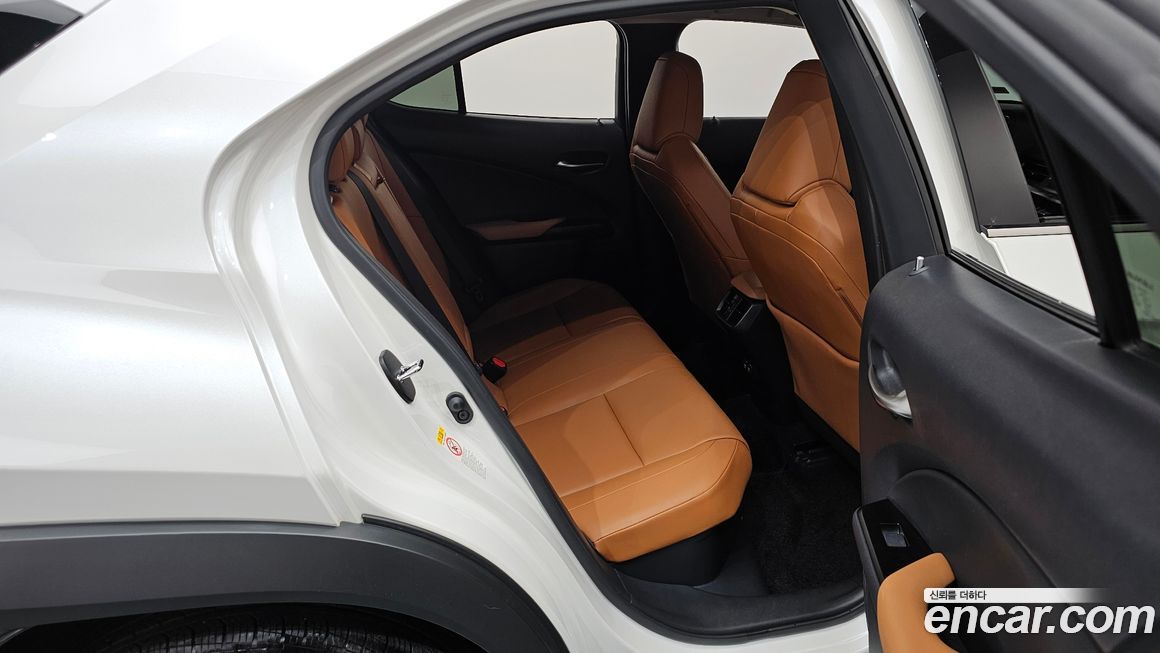 Lexus UX 2019