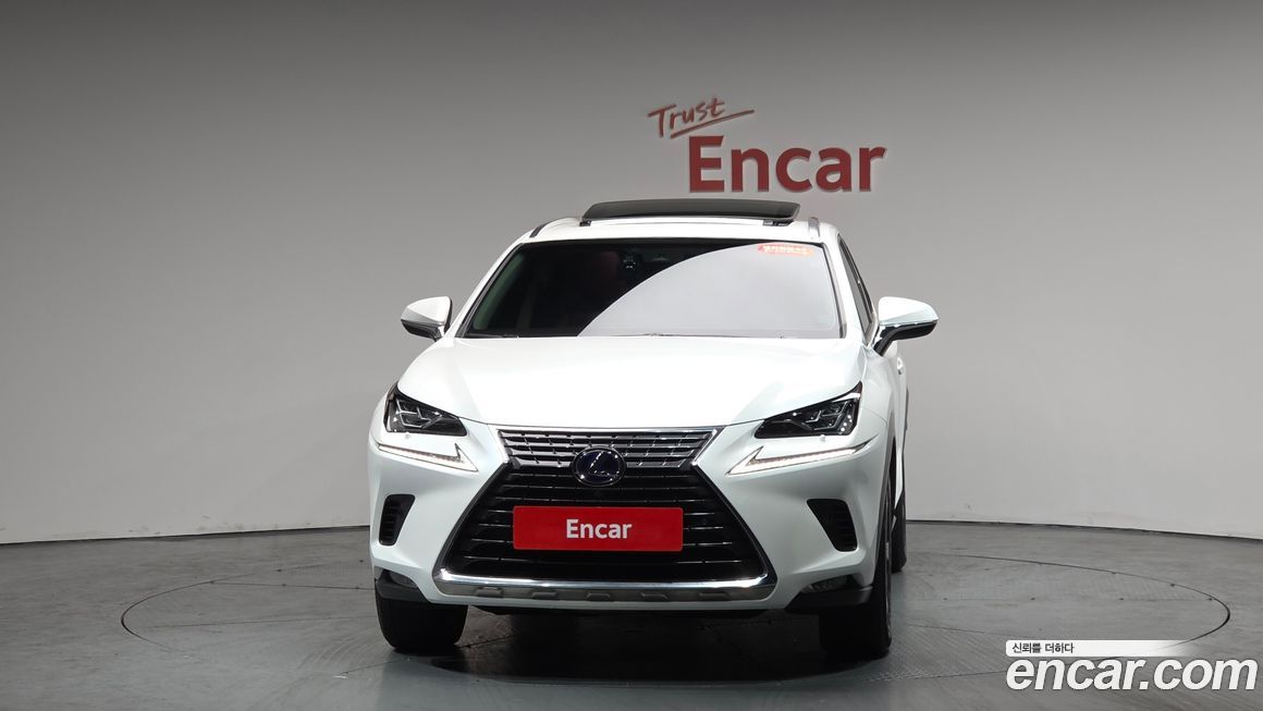 Lexus NX 2019