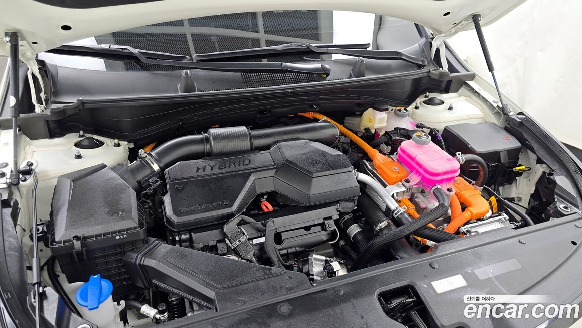 Kia Sportage 2024
