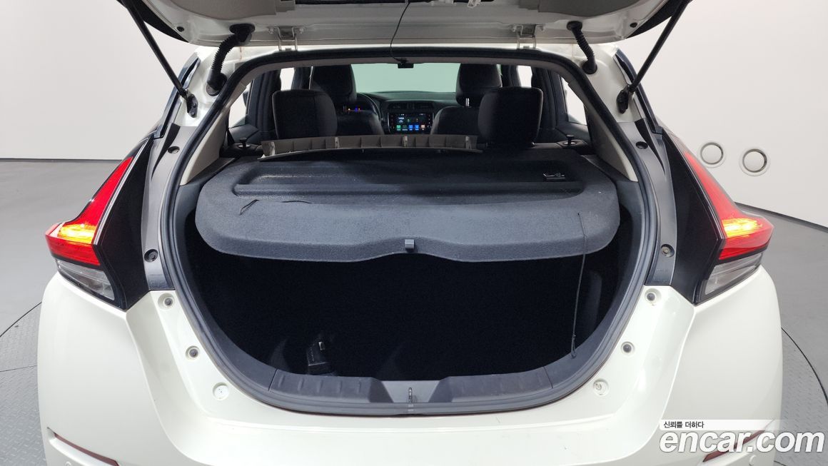 Nissan Leaf 2019