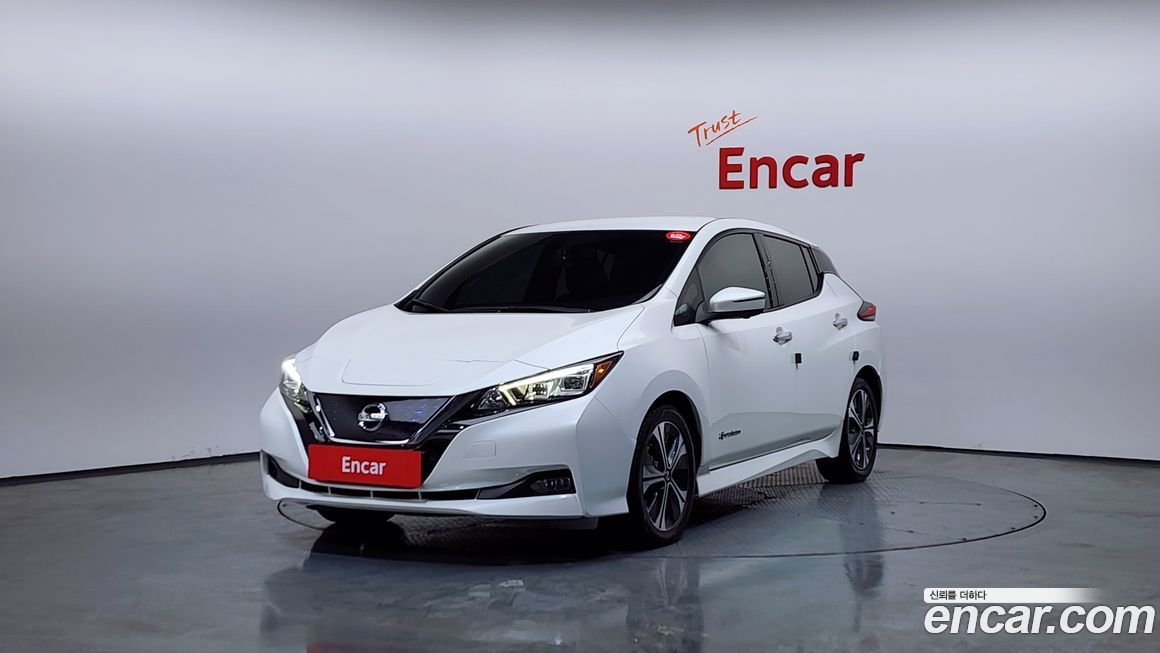 Nissan Leaf 2019