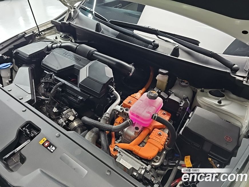 Kia Sportage 2025