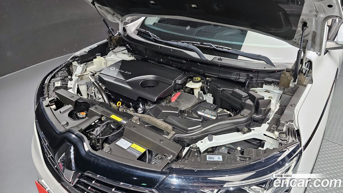 Renault-KoreaSamsung QM6 2019