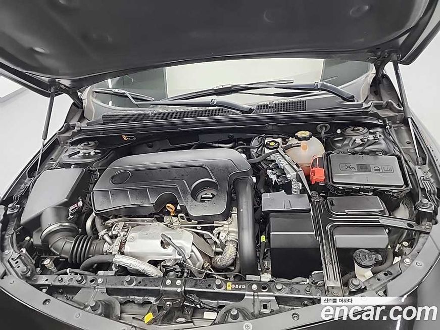 ChevroletGMDaewoo Malibu 2019