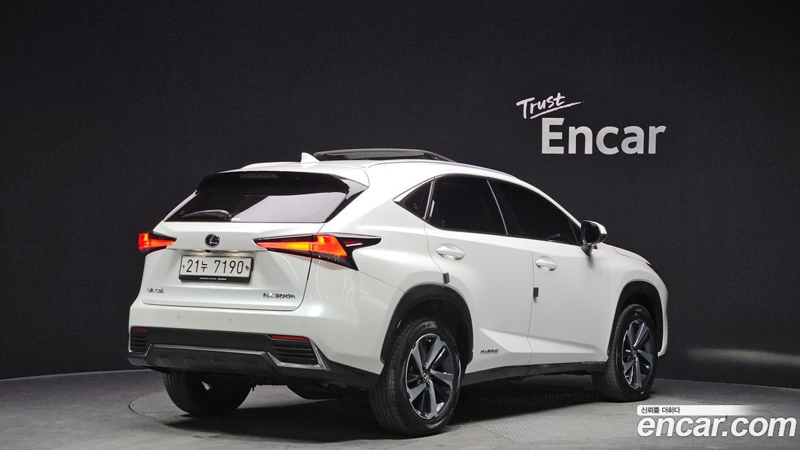 Lexus NX 2018