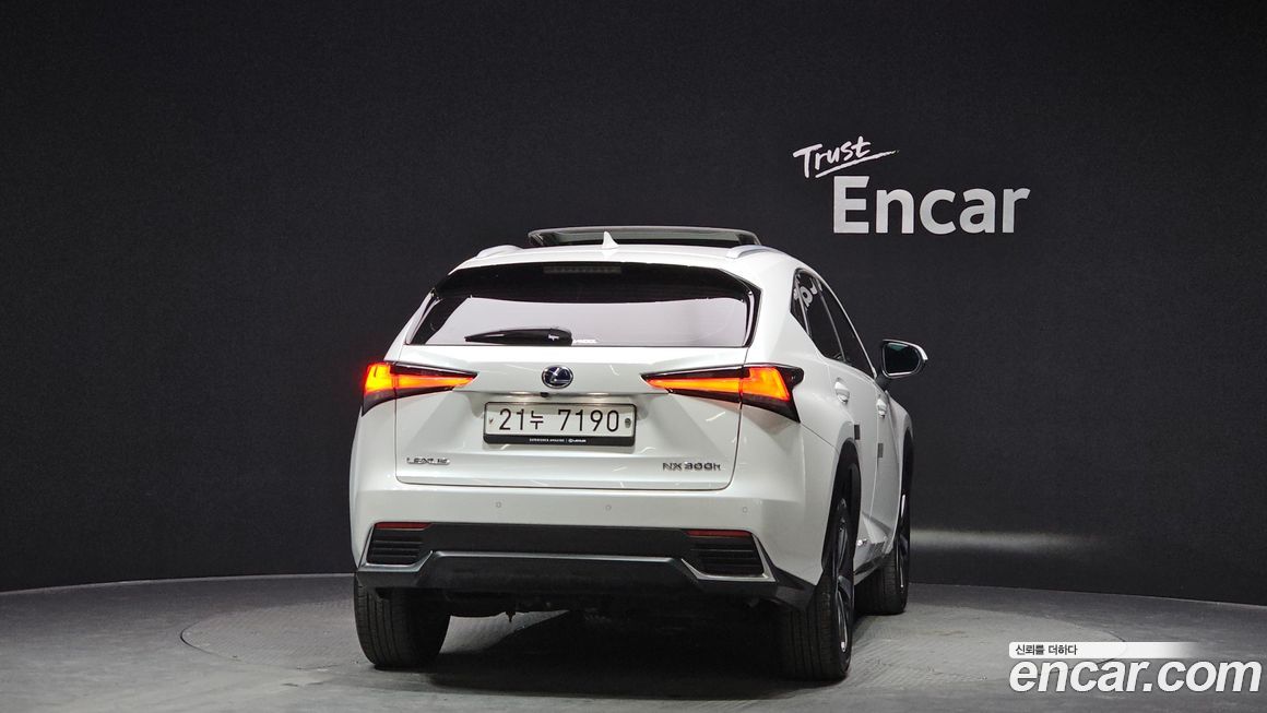 Lexus NX 2018