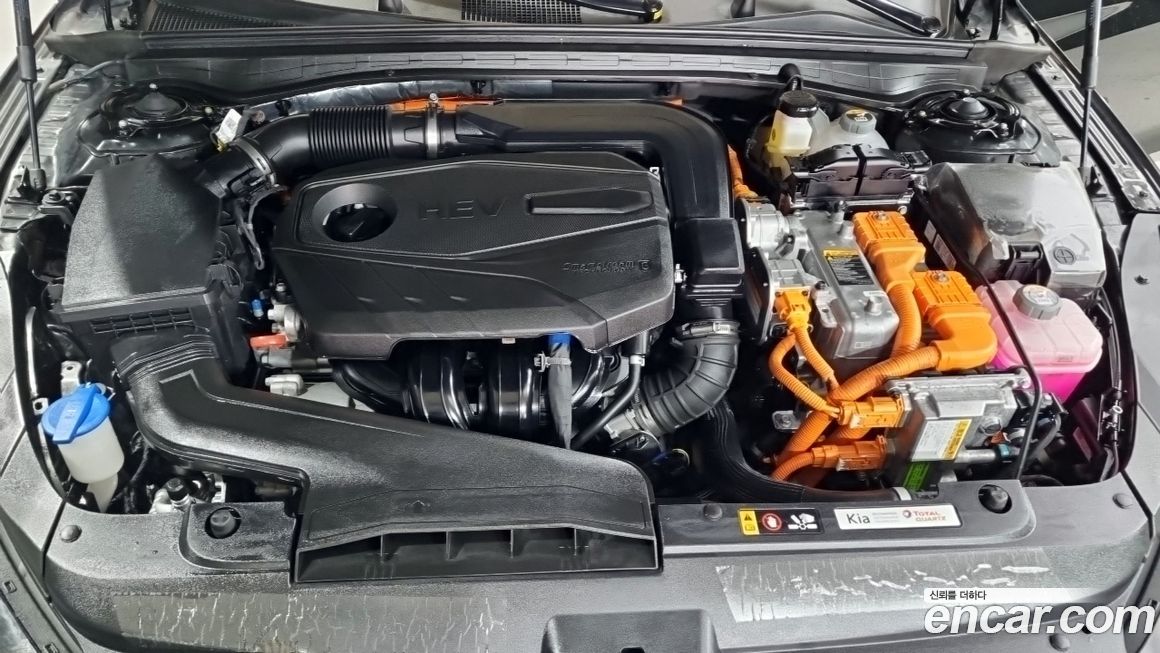 Kia K5 2024