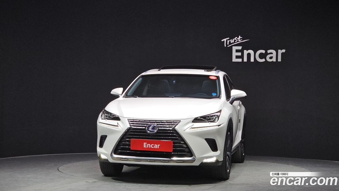 Lexus NX 2018