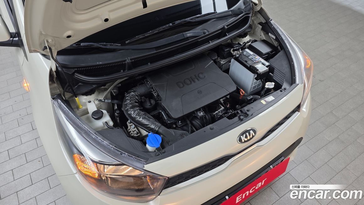 Kia morning 2019