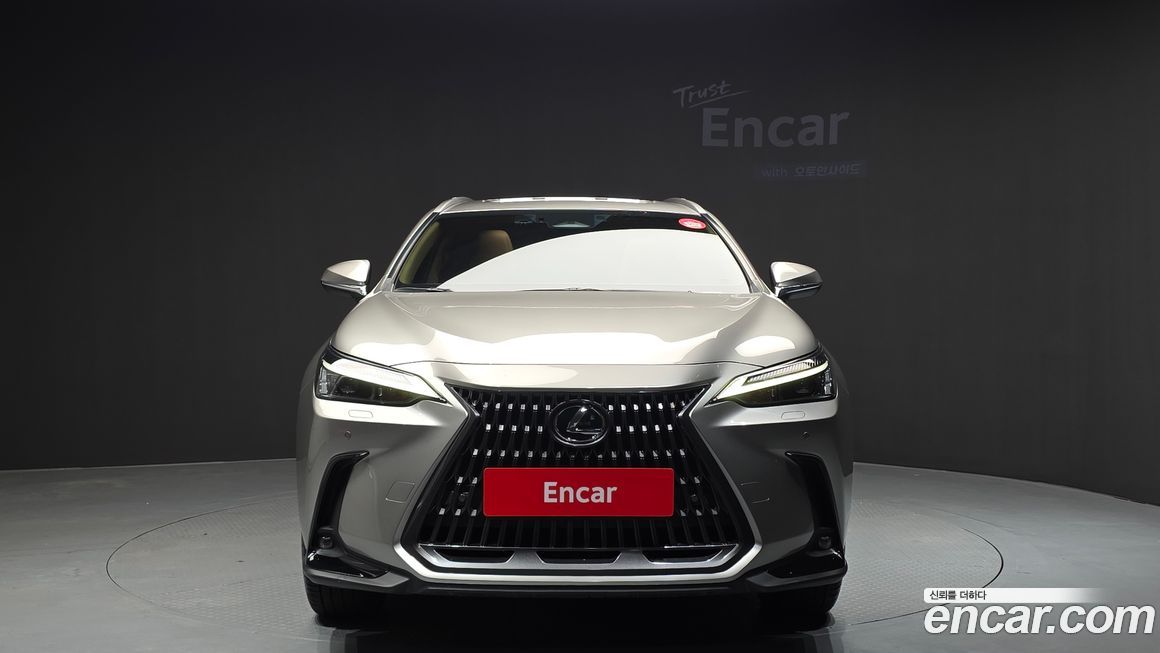 Lexus NX 2024