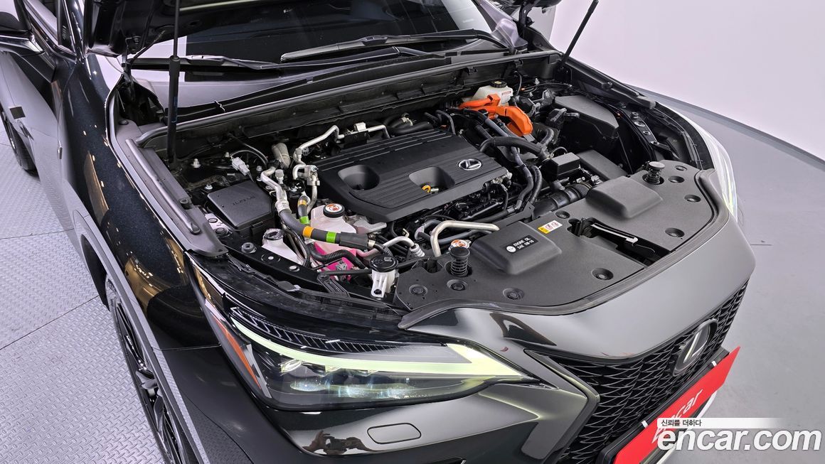 Lexus NX 2023