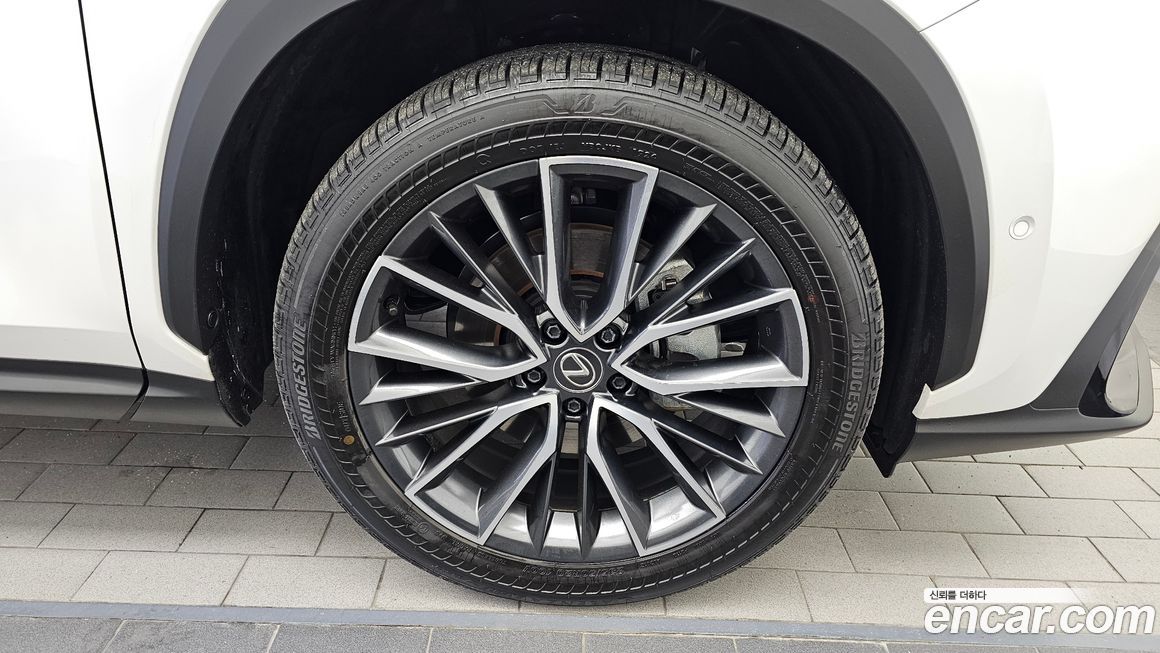 Lexus NX 2025