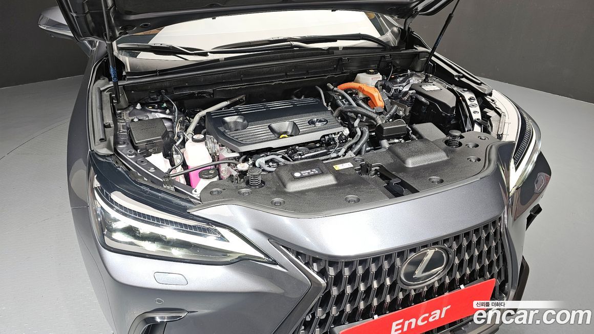 Lexus NX 2025