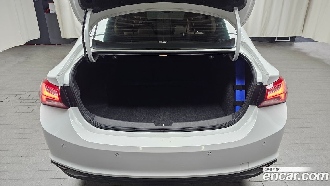 ChevroletGMDaewoo Malibu 2020