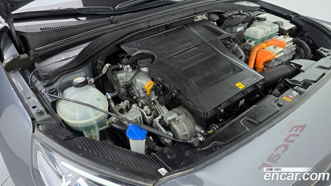 Hyundai Ioniq 2019