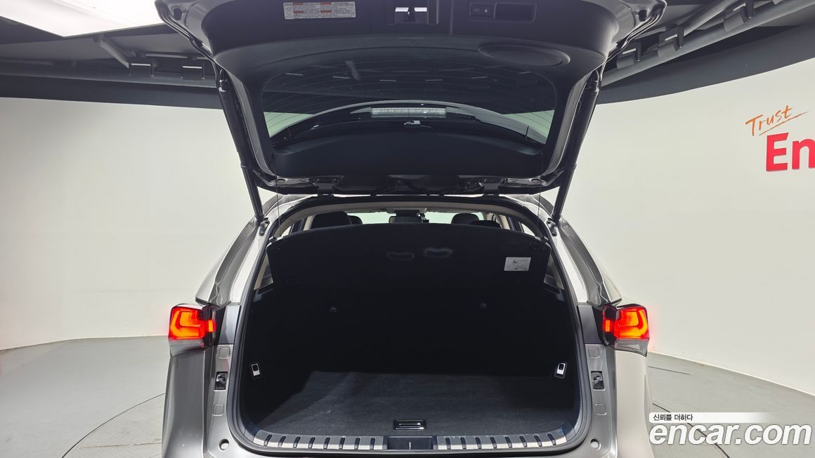Lexus NX 2020