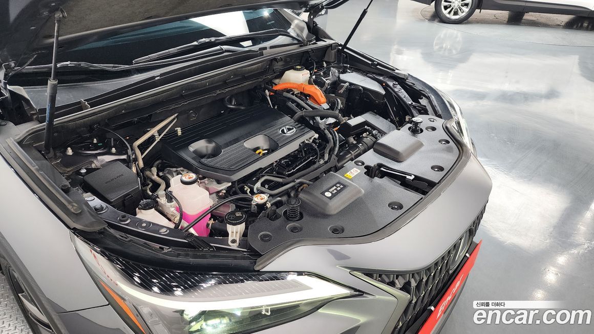 Lexus NX 2024