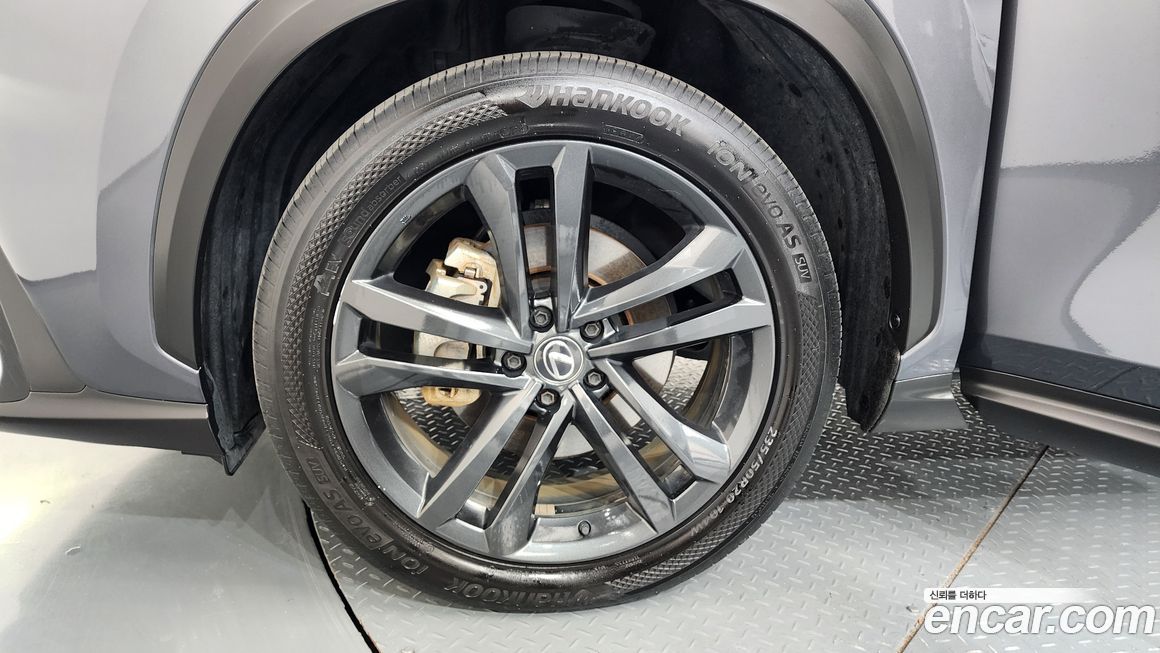 Lexus NX 2024